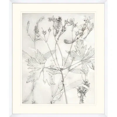 Wendover Art Group Painted Pressed Floral 2 - Picture Frame Painting In White;gray