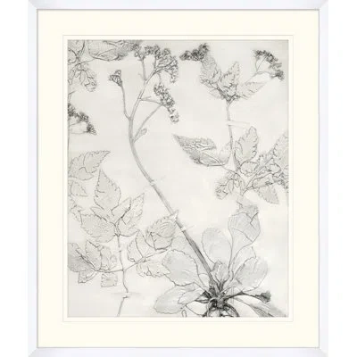 Wendover Art Group Painted Pressed Floral 3 - Picture Frame Painting On Paper In Black;gray