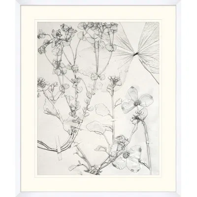 Wendover Art Group Painted Pressed Floral 5 - Picture Frame Painting On Paper In Black;gray