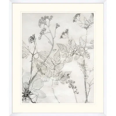 Wendover Art Group Painted Pressed Floral 6 - Picture Frame Painting In White;gray