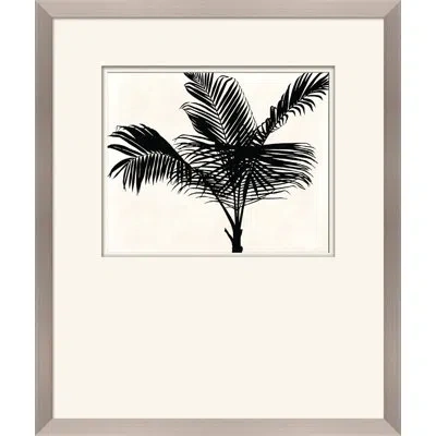 Wendover Art Group Palm Shadows I - Picture Frame Painting On Paper In Black;white