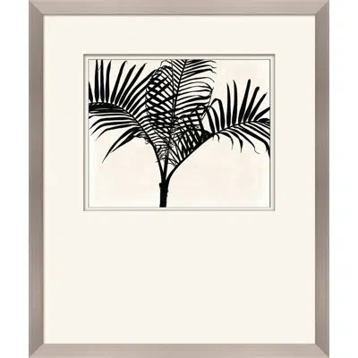 Wendover Art Group Palm Shadows Iii - Picture Frame Painting On Paper In Black