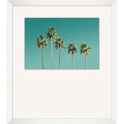 Wendover Art Group Palm Tree Sky By Christopher Kennedy - Single Picture Frame Photograph In Brown;green