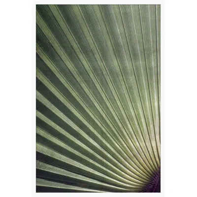 Wendover Art Group Palmetto 1 In Green,silver