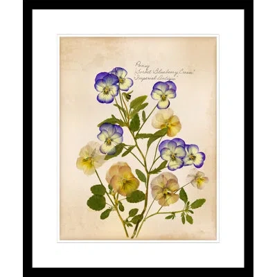 Wendover Art Group Pansy - Picture Frame Painting On Paper In Beige