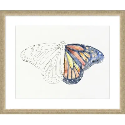 Wendover Art Group Papillon Croquis 1 - Picture Frame Painting On Paper In Multi