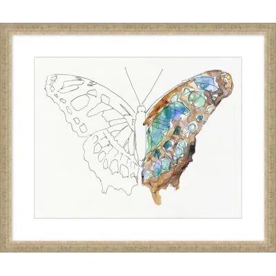 Wendover Art Group Papillon Croquis 2 - Picture Frame Painting On Paper In Multi