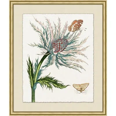 Wendover Art Group Parisian Anthology 22 - Picture Frame Painting On Paper In Green;red
