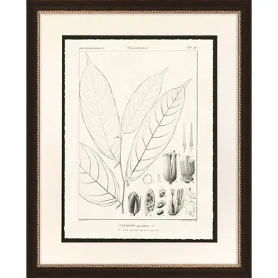 Wendover Art Group Patrisia - Picture Frame Drawing Print On Paper In White;gray