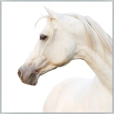 Wendover Art Group Pearl By Lillian August - Floater Frame Photograph On Canvas In White
