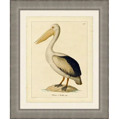 Wendover Art Group Pelican - Picture Frame Graphic Art On Paper In Black;beige;yellow