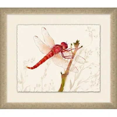Wendover Art Group Perched Dragonfly 1 - Picture Frame Painting On Paper In Green;red;beige