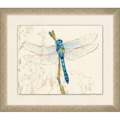 Wendover Art Group Perched Dragonfly 2 - Picture Frame Painting On Paper In Blue;green;beige
