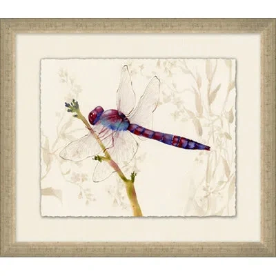 Wendover Art Group Perched Dragonfly 3 - Picture Frame Painting On Paper In Green;beige;purple