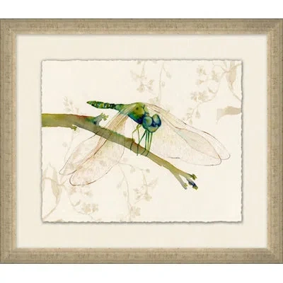 Wendover Art Group Perched Dragonfly 4 - Picture Frame Painting On Paper In Green;beige