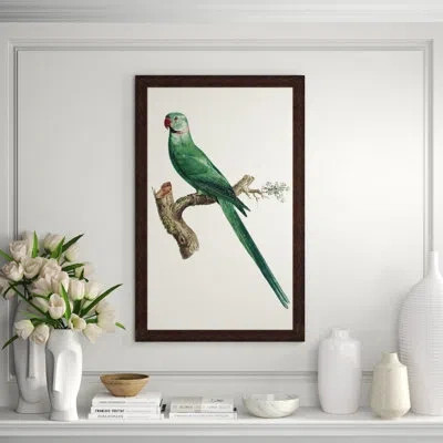 Wendover Art Group Perched Parrot 2 - Picture Frame Graphic Art In Brown;green;beige