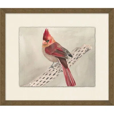 Wendover Art Group Petite Finch - Picture Frame Painting On Paper In Gray;red