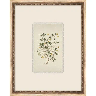 Wendover Art Group Petite Floral 2 - Single Picture Frame Print On Canvas In Beige,green,yellow,ivory