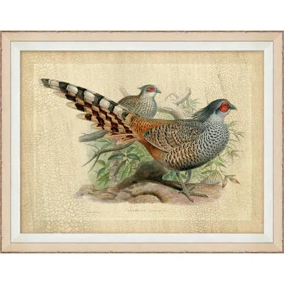 Wendover Art Group Pheasant Collection 1 - Picture Frame Graphic Art On Glass In Green;gray;beige;orange