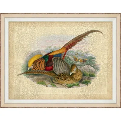 Wendover Art Group Pheasant Collection 2 - Picture Frame Graphic Art In Green;gray;beige;orange