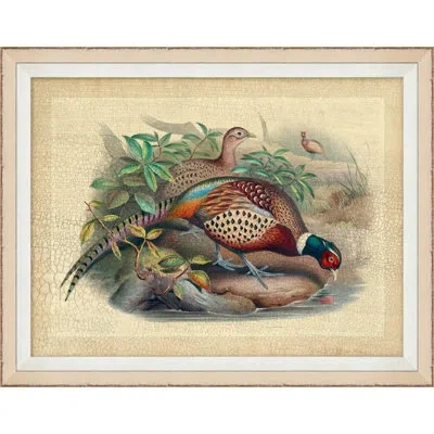 Wendover Art Group Pheasant Collection 9 - Picture Frame Graphic Art On Paper In Blue;brown;orange