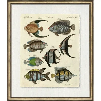 Wendover Art Group Pisces I - Picture Frame Painting On Paper In Gray;beige