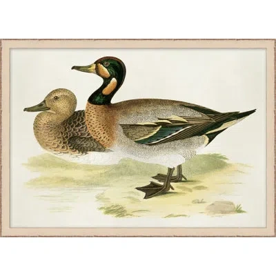Wendover Art Group Plumage 7 - Picture Frame Painting On Paper In Brown;gray;beige
