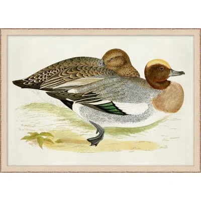 Wendover Art Group Plumage 8 - Picture Frame Painting On Paper In Brown;gray;beige