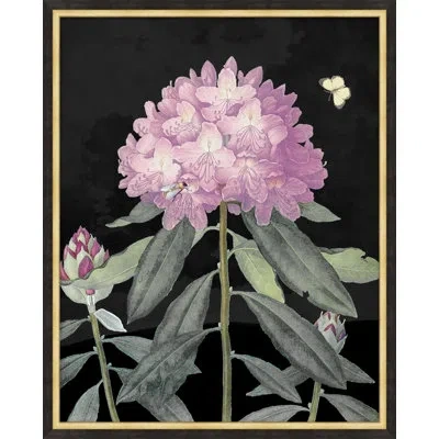Wendover Art Group Poetic Botanicals 1 By Lillian August - Single Picture Frame Print In Black;green;purple