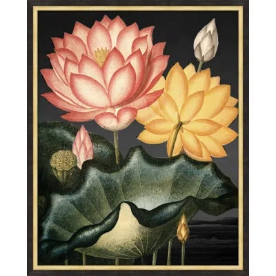 Wendover Art Group Poetic Botanicals 4 By Lillian August - Single Picture Frame Painting In Black;green;red;yellow