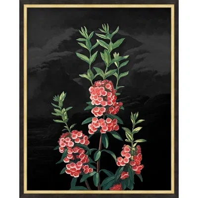 Wendover Art Group Poetic Botanicals 5 By Lillian August - Single Picture Frame Print In Black;green;pink
