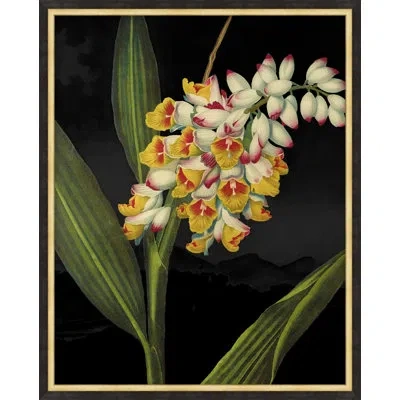 Wendover Art Group Poetic Botanicals 6 By Lillian August - Single Picture Frame Graphic Art In Black;green;yellow