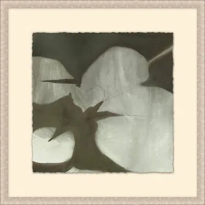 Wendover Art Group Pond Of Lilly 3 - Picture Frame Painting On Paper In Black;gray;pink