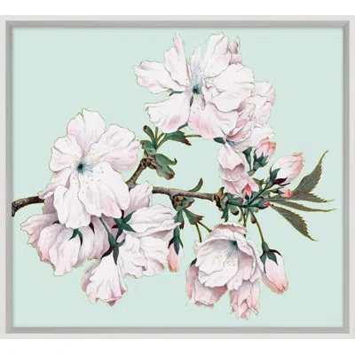 Wendover Art Group Powder Blue Blossom 1 - Picture Frame Painting In White;green;pink;turquoise