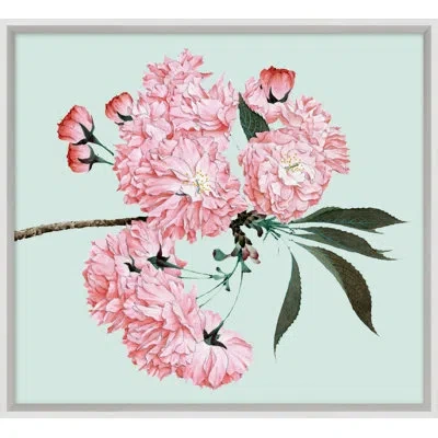 Wendover Art Group Powder Blue Blossom 3 - Picture Frame Painting In Brown;pink;turquoise