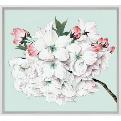 Wendover Art Group Powder Blue Blossom 5 - Picture Frame Painting In White;pink;turquoise