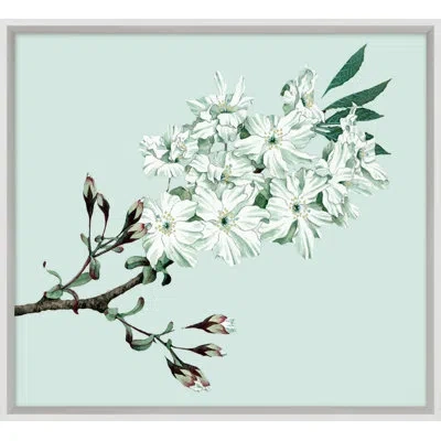 Wendover Art Group Powder Blue Blossom 6 - Picture Frame Painting In Brown;white;turquoise