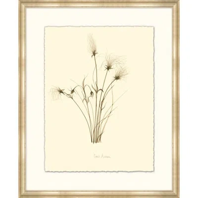Wendover Art Group Prairie Smoke - Picture Frame Painting On Paper In Brown;beige