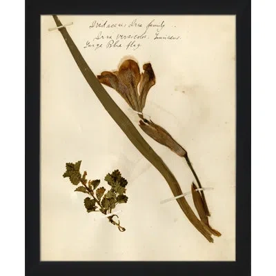 Wendover Art Group Pressed Botanical 21 - Picture Frame Print On Paper In Beige;olive