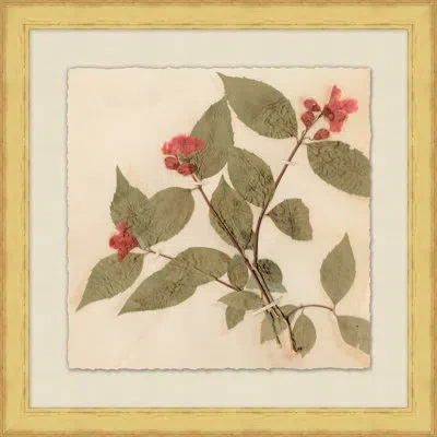 Wendover Art Group Pressed Flowers 1 - Picture Frame Print On Paper In Green;red;pink