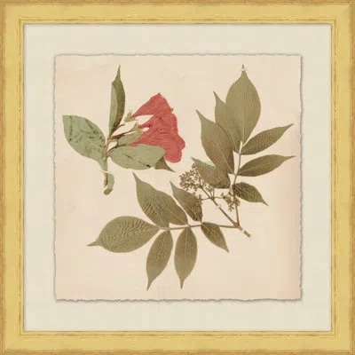 Wendover Art Group Pressed Flowers 2 - Picture Frame Print On Paper In Green;red;pink