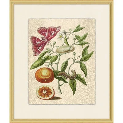 Wendover Art Group Prevailing Nature 1 - Picture Frame Painting In Green;red;beige;orange