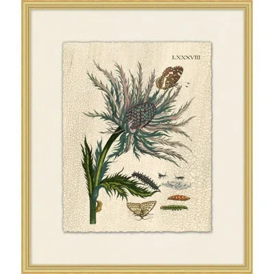 Wendover Art Group Prevailing Nature 2 - Picture Frame Painting In Multi