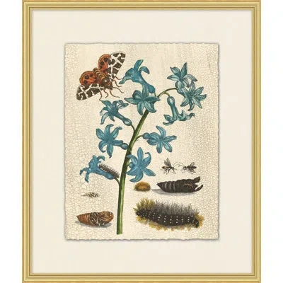 Wendover Art Group Prevailing Nature 3 - Picture Frame Painting In Multi