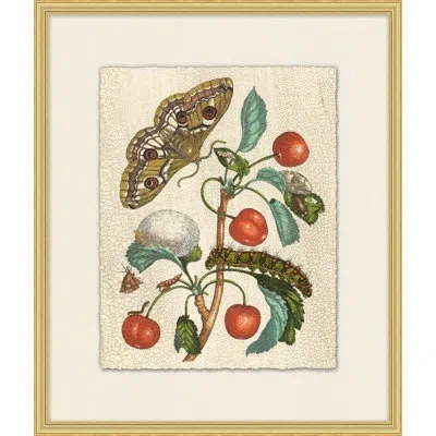 Wendover Art Group Prevailing Nature 4 - Picture Frame Painting In Brown;green;red;beige