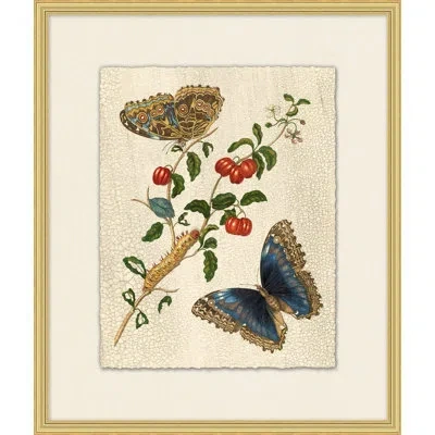 Wendover Art Group Prevailing Nature 5 - Picture Frame Painting In Brown;green;red;beige