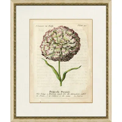 Wendover Art Group Princefs Picotee - Picture Frame Painting On Paper In Green;purple