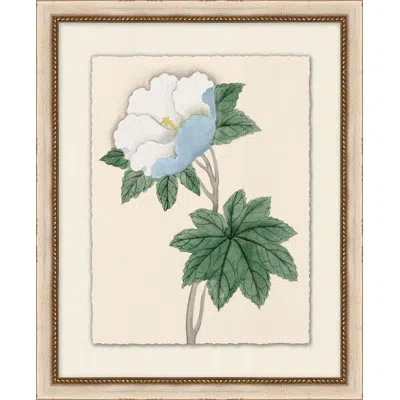 Wendover Art Group Prisma Floral 1 - Picture Frame Painting In White;green;beige