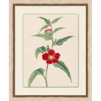 Wendover Art Group Prisma Floral 15 - Picture Frame Painting In Green;red;beige
