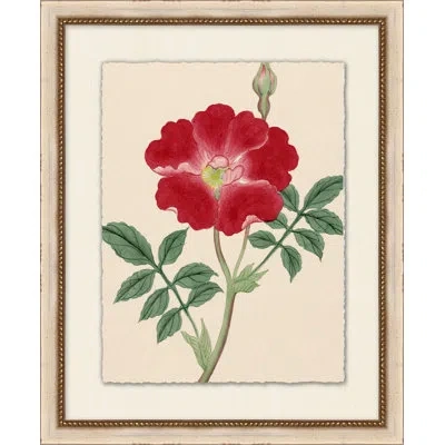 Wendover Art Group Prisma Floral 16 - Picture Frame Painting In Green;red;beige